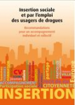 Insertion sociale et par l’emploi des usagers de drogues. Recommandations pour un accompagnement individuel et collectif