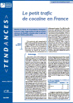 Le petit trafic de cocaïne en France