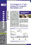 Les drogues à 17 ans : analyse de l’enquête ESCAPAD 2017
