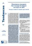 Phénomènes émergents liés à l'usage de drogues en France en 2003 - Principaux résultats du cinquième rapport national